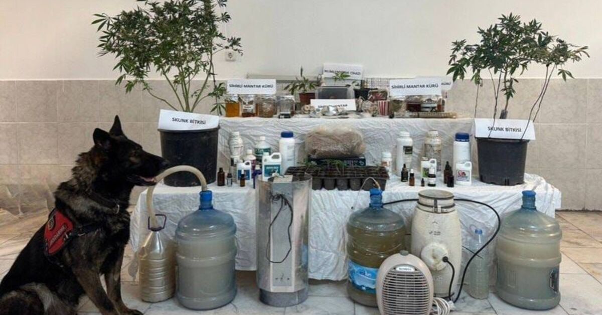 İklimlendirme sistemiyle uyuşturucu üretti