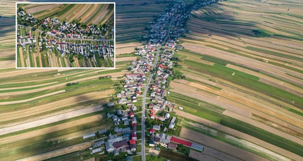 Tüm mahalle tek bir cadde boyunca sıralanmış: Yaprak gibi görünüyor